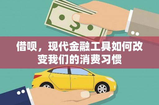 麦寮借呗，现代金融工具如何改变我们的消费习惯