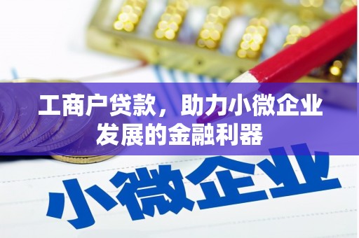 麦寮工商户贷款，助力小微企业发展的金融利器