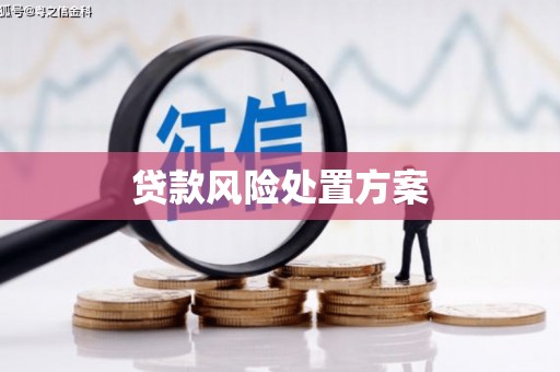 麦寮贷款风险处置方案