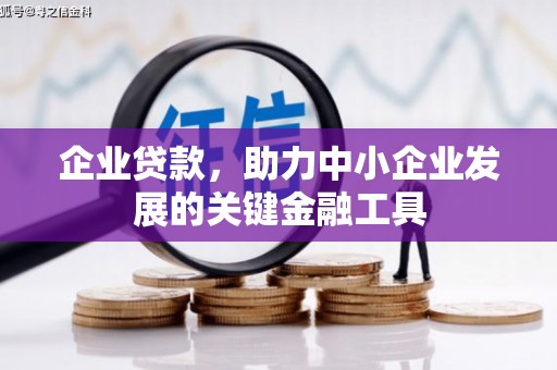 麦寮企业贷款，助力中小企业发展的关键金融工具