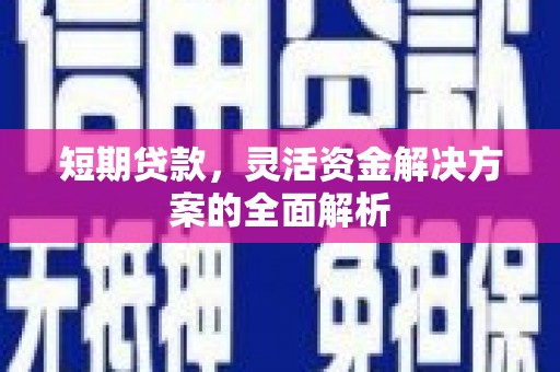 麦寮短期贷款，灵活资金解决方案的全面解析