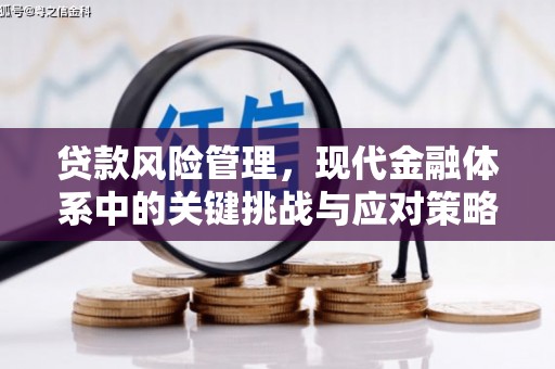 麦寮贷款风险管理，现代金融体系中的关键挑战与应对策略