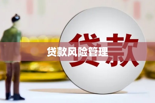 麦寮贷款风险管理