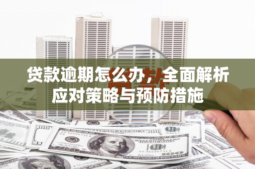 麦寮贷款逾期怎么办，全面解析应对策略与预防措施