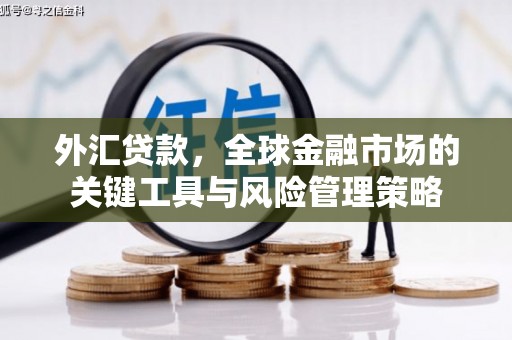 麦寮外汇贷款，全球金融市场的关键工具与风险管理策略