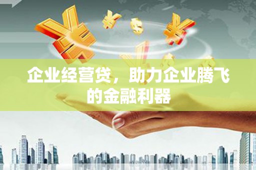麦寮企业经营贷，助力企业腾飞的金融利器