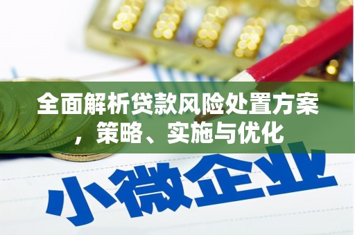 麦寮全面解析贷款风险处置方案，策略、实施与优化