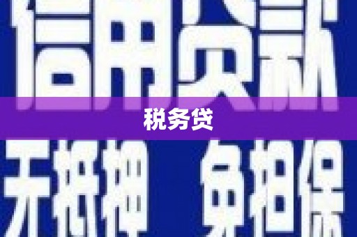 麦寮税务贷