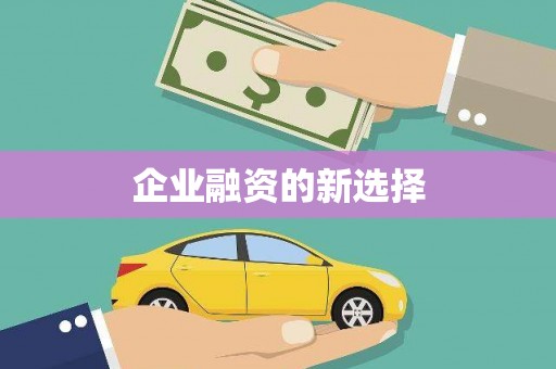 麦寮企业融资的新选择