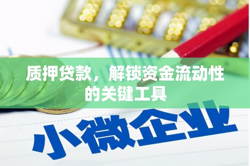 麦寮质押贷款，解锁资金流动性的关键工具