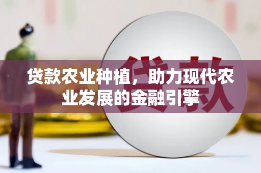麦寮贷款农业种植，助力现代农业发展的金融引擎