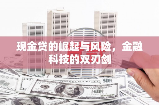 麦寮现金贷的崛起与风险，金融科技的双刃剑