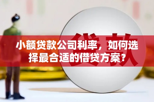 麦寮小额贷款公司利率，如何选择最合适的借贷方案？