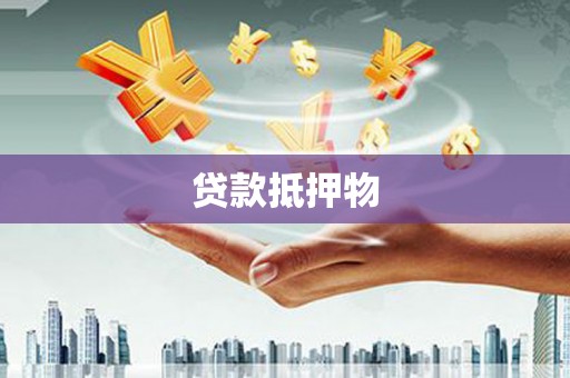 麦寮贷款抵押物