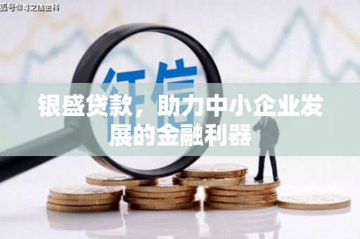 麦寮银盛贷款，助力中小企业发展的金融利器