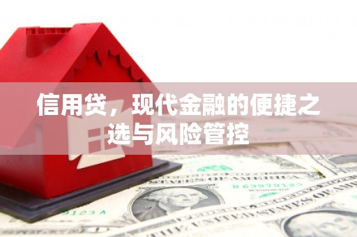 麦寮信用贷，现代金融的便捷之选与风险管控
