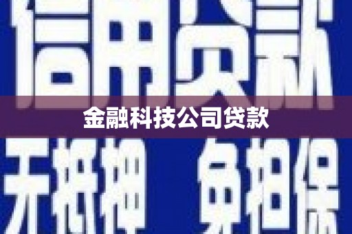 麦寮金融科技公司贷款