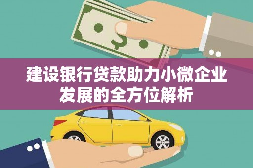 麦寮建设银行贷款助力小微企业发展的全方位解析
