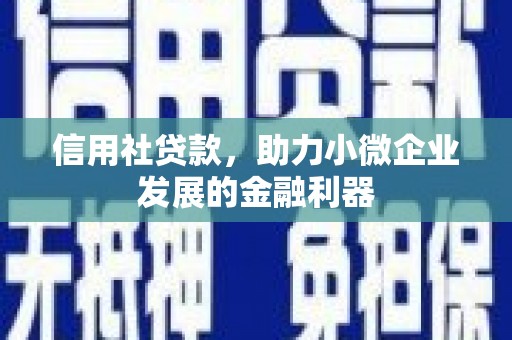 麦寮信用社贷款，助力小微企业发展的金融利器