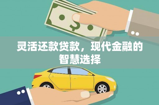 麦寮灵活还款贷款，现代金融的智慧选择