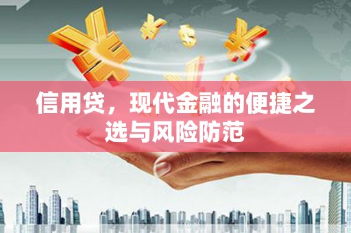 麦寮信用贷，现代金融的便捷之选与风险防范