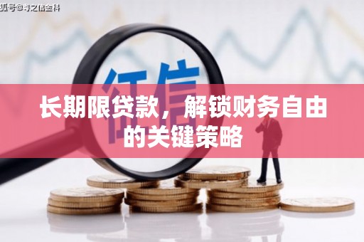 麦寮长期限贷款，解锁财务自由的关键策略