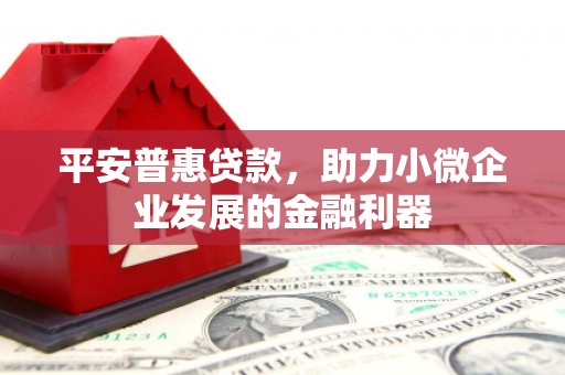麦寮平安普惠贷款，助力小微企业发展的金融利器
