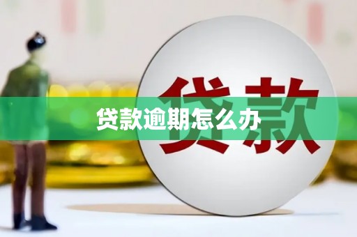 麦寮贷款逾期怎么办