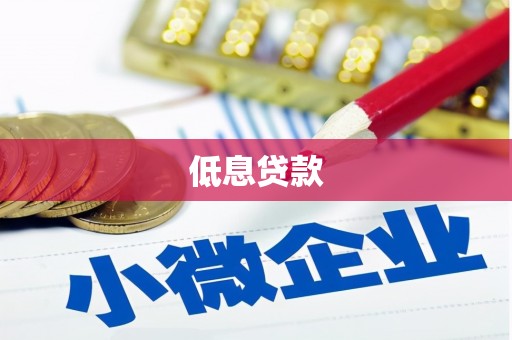 麦寮低息贷款