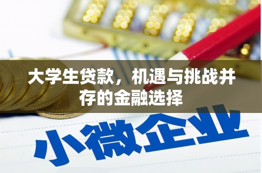 麦寮大学生贷款，机遇与挑战并存的金融选择