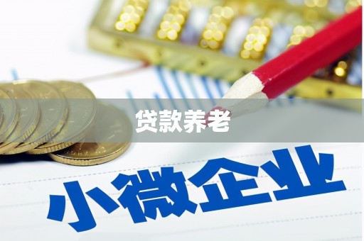 麦寮贷款养老