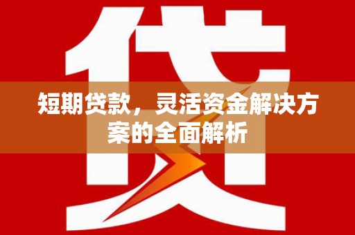 麦寮短期贷款，灵活资金解决方案的全面解析