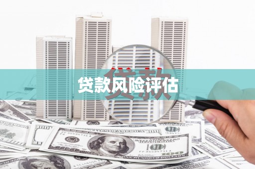 麦寮贷款风险评估
