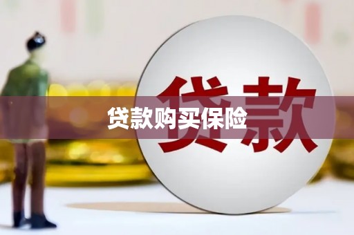 麦寮贷款购买保险