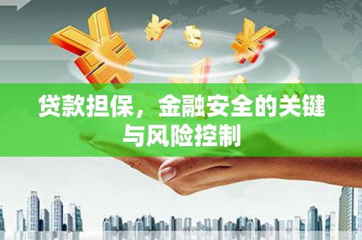 麦寮贷款担保，金融安全的关键与风险控制