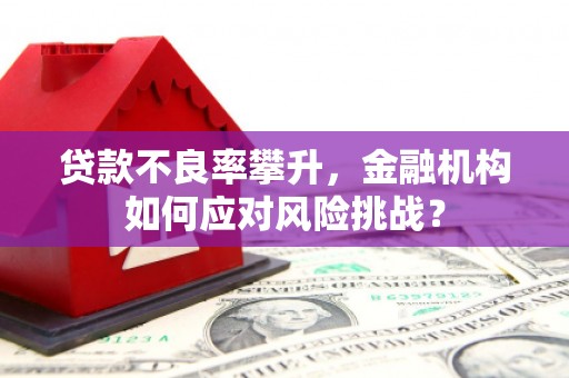 麦寮贷款不良率攀升，金融机构如何应对风险挑战？