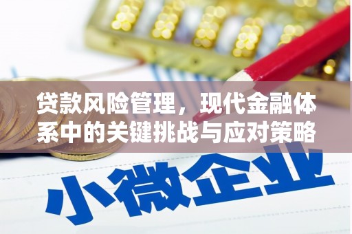 麦寮贷款风险管理，现代金融体系中的关键挑战与应对策略