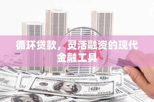 麦寮循环贷款，灵活融资的现代金融工具