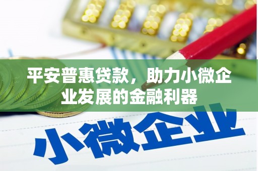 麦寮平安普惠贷款，助力小微企业发展的金融利器