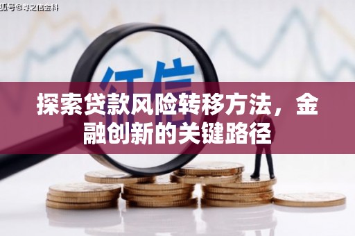 麦寮探索贷款风险转移方法，金融创新的关键路径