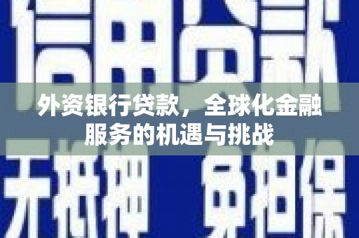 麦寮外资银行贷款，全球化金融服务的机遇与挑战