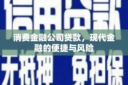 麦寮消费金融公司贷款，现代金融的便捷与风险