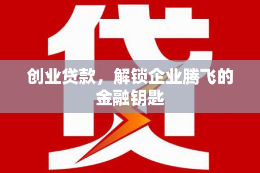 麦寮创业贷款，解锁企业腾飞的金融钥匙