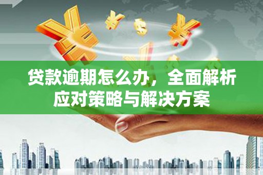 麦寮贷款逾期怎么办，全面解析应对策略与解决方案