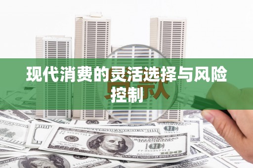 麦寮现代消费的灵活选择与风险控制