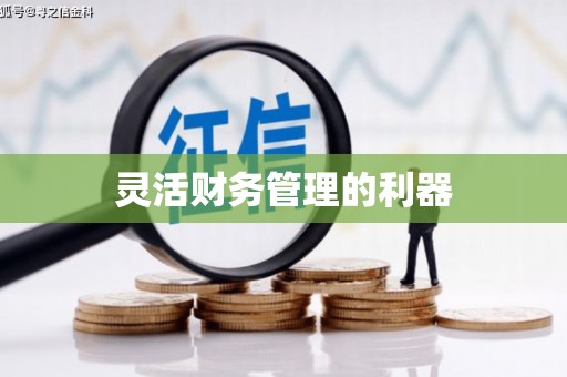 麦寮灵活财务管理的利器