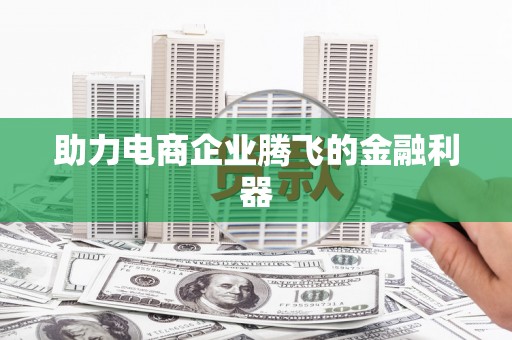 麦寮助力电商企业腾飞的金融利器