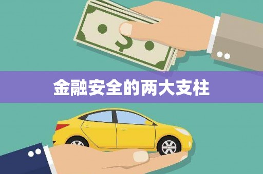 麦寮金融安全的两大支柱