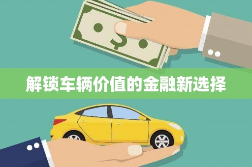 麦寮解锁车辆价值的金融新选择
