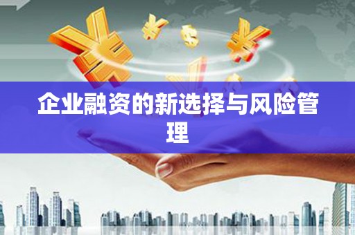 麦寮企业融资的新选择与风险管理